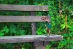 Cosplay-Cover: Tinkerbell