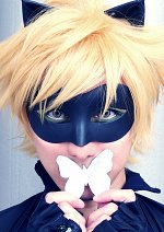 Cosplay-Cover: Cat Noir