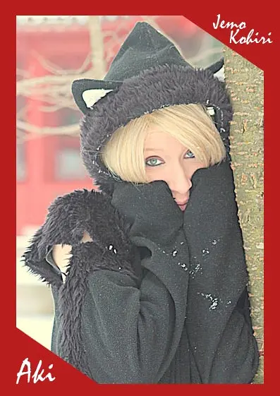Cosplay-Cover: Aki Fujimiya (Normal)