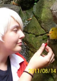 Cosplay-Cover: Gilbert Beilschmidt [Pseudo-Gakuen]