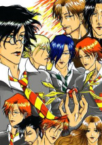 Cover: Harry Potter und die Kammer der Liebe ~YAOI~