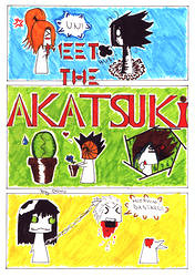 Cover: Meet the Akatsuki