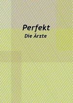 Cover: Die Ärzte - Perfekt - meet´s Karokitty