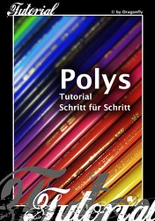 Cover: Polys – Tutorial Schritt für Schritt