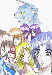 Cover: 1/2 Cat