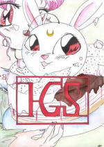 Cover: >I G S<