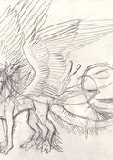 Cover: Drachen zeichnen--so wird´s gemacht