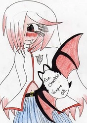 Cover: The Chaotic Vampire life