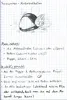 Seite 11
