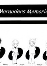 Cover: Marauders Memories