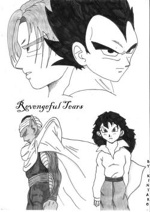 Cover: DBZ ~ Revengeful Tears