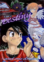Cover: Destiny - and one dream