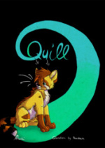 Cover: Quill