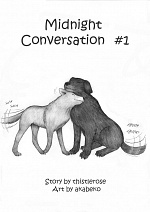 Cover: Midnight Conversation #1