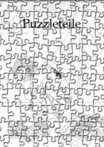 Cover: Puzzle ohne Sinn