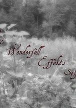 Cover: Easy&Wonderfull Effects Selfmade