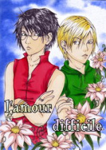 Cover: l'amour difficile