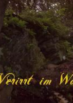 Cover: Verirrt im Wald- HdR Fotostory