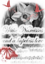 Cover: White Narcissus And A Hopeless Love Story