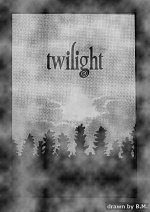 Cover: Twilight - Die Bis(s)Geschichte