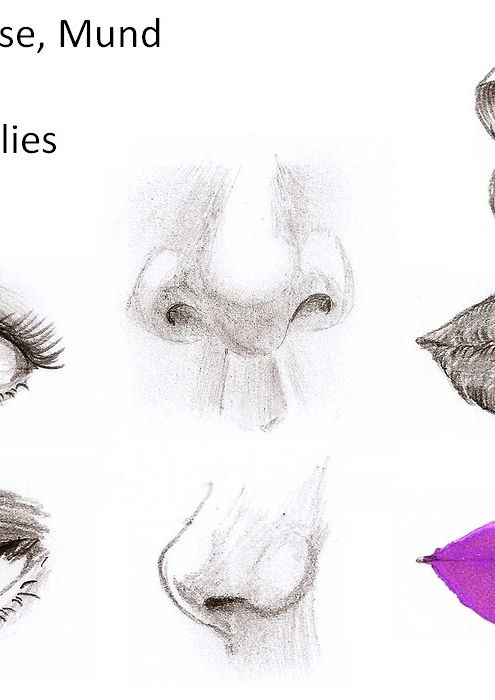 Cover: How I draw - Eyes - Nose - Mouth -