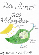 Cover: Die Moral der Photosynthese