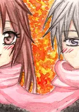 Cover: Vampire Knight Stories