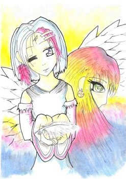 Cover: Beauty of feathers