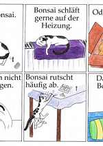 Cover: Bonsai der Obergrru