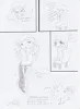 Seite 4