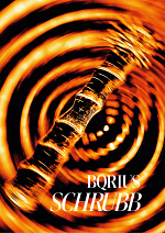 Cover: Schrubb