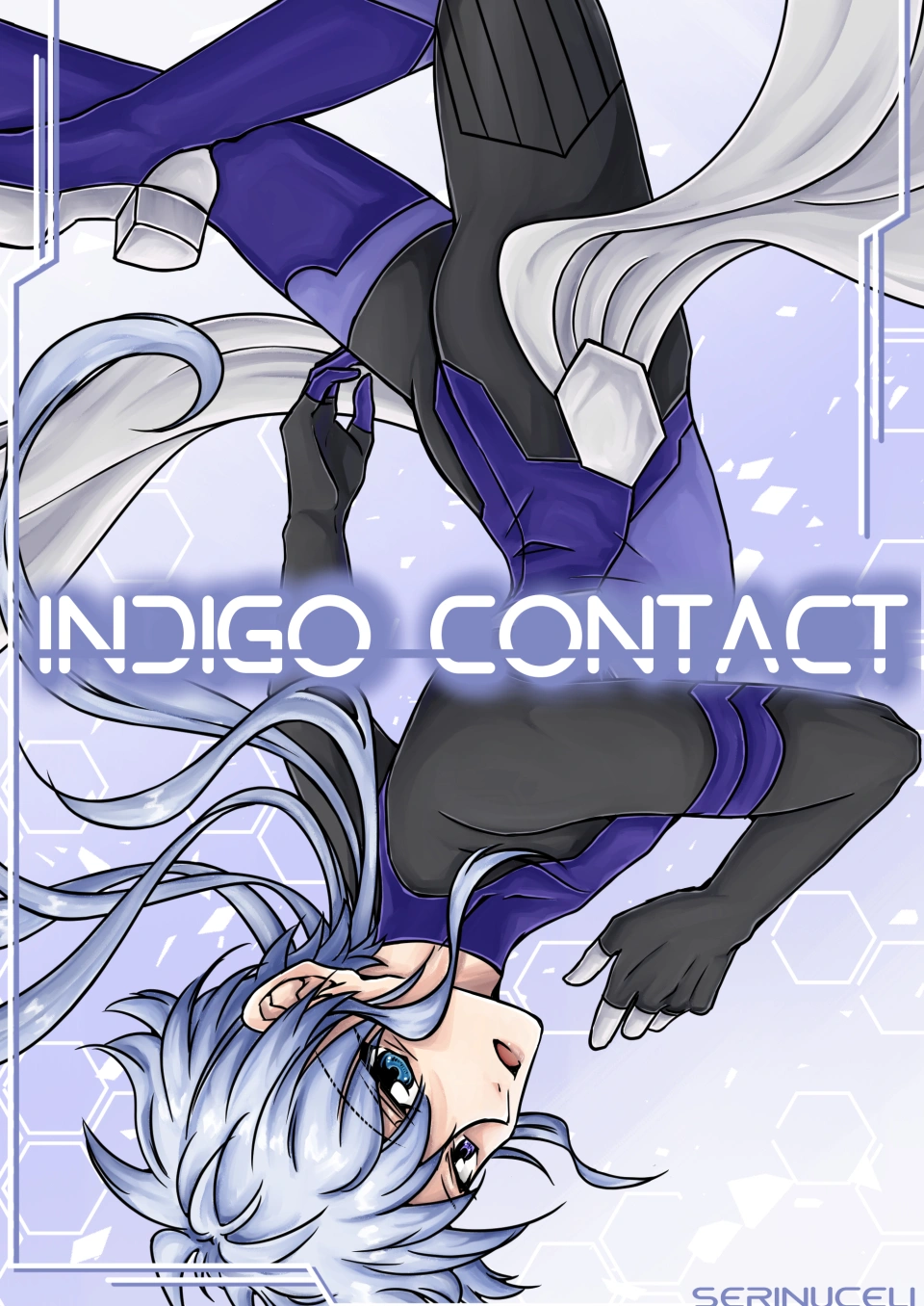 Cover: Indigo Contact