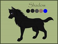 Fanart: Shadow the leader of the Southlandpack