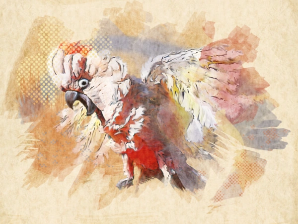 Fanart