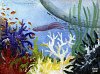 KAKAO Nr. 183 - Change of the coral reef