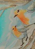 #13 Rotkehlchen im Winter *Reserviert* #13 Rotkehlchen im Winter *Reserviert*