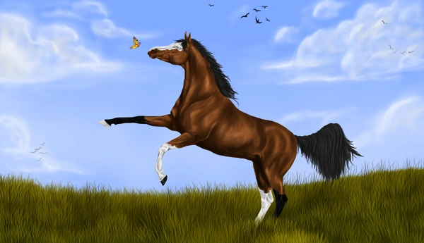 Fanart