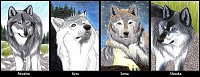 Fanart: Kakaokarten - Wolves of the Wind #2