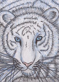 Fanart: #015 Gauzyl, weißer Tiger