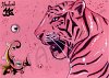 KaKAO-Karte # 015 Tiger monochrom -vergeben-