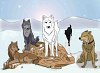 Wolf's Rain - all five wolves