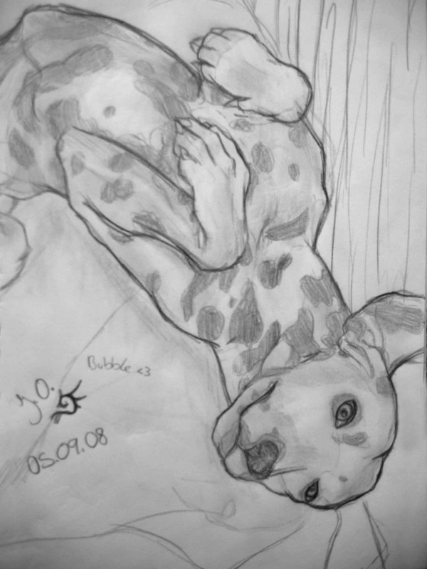 Fanart