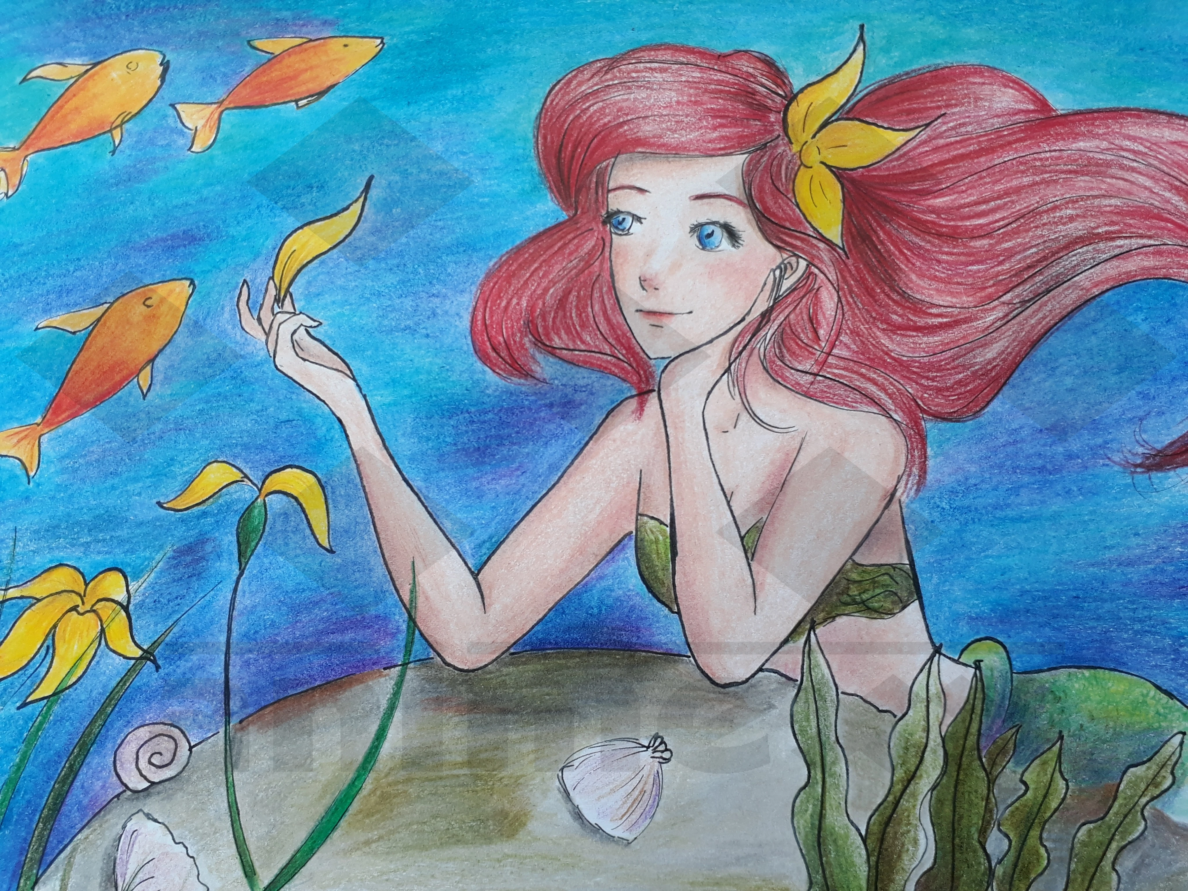 Fanart2