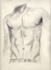 Neuestes Fanart