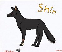 Fanart: Shin als Wolf - Colo Version