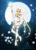 ** Sailor Moon  **