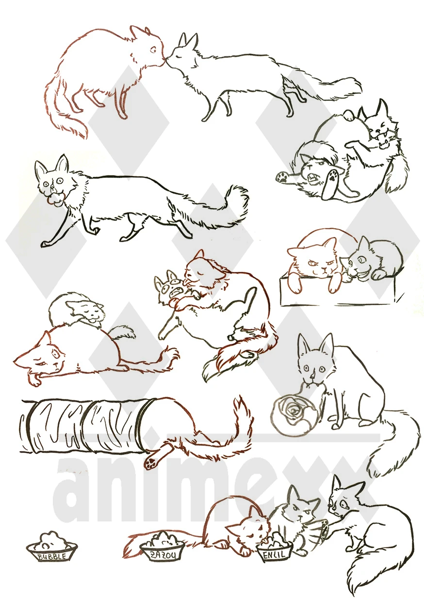 Fanart2