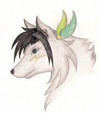 Fanart: Shiro - mystischer Wolf des Waldes
