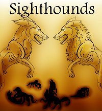 Fanart: Sighthounds (cover)