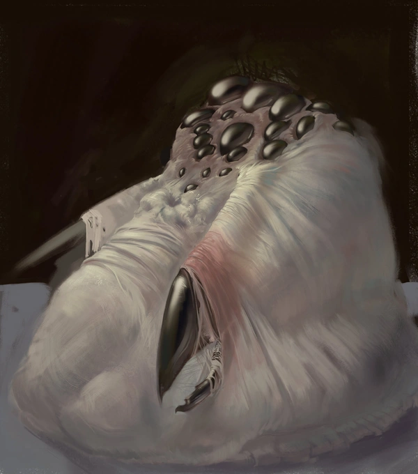 Fanart